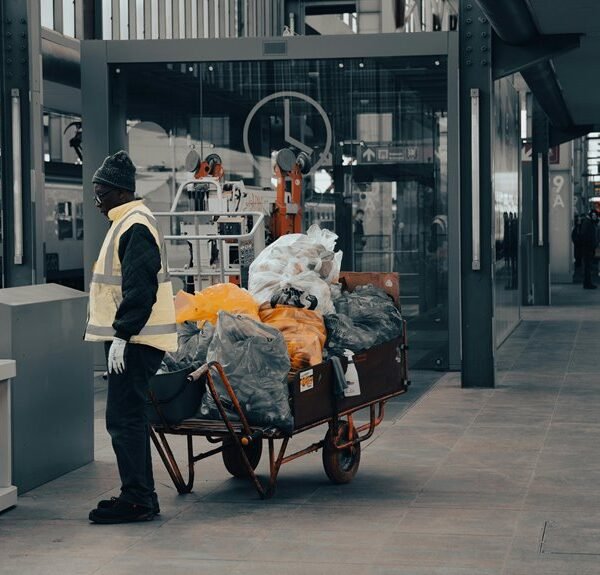 Creative Digital Hub 502167017 Online Platform