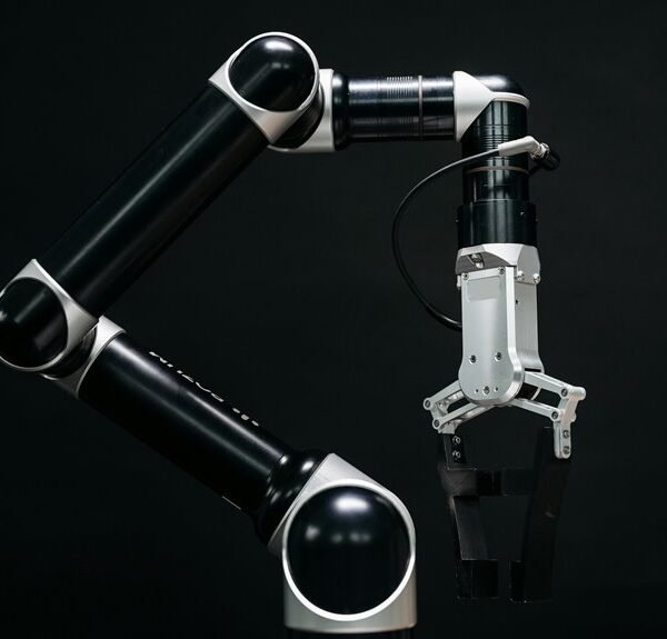 Dynamic Digital System 969973408 Web Engine